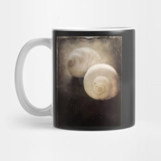 Two Sea Shells Mug